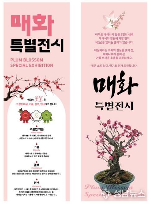 매화나무 분재 특별전시 배너