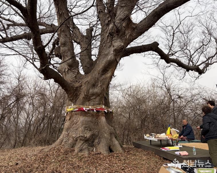 홍성군 광천읍 옹암마을, 영산당 당제 열려