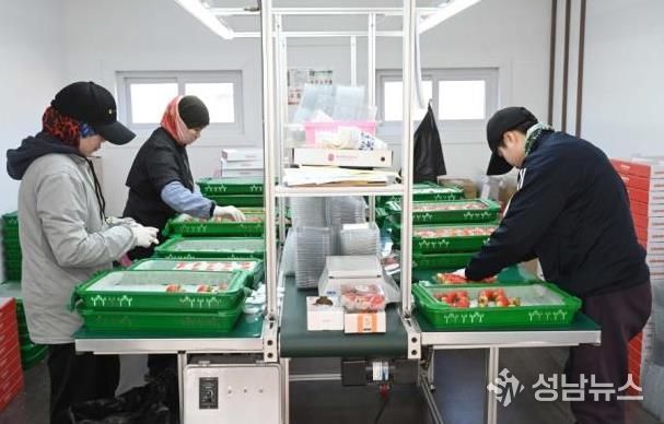 홍성 딸기, 2026년 시작과 동시에 ‘충남 수출 1위’ 달성