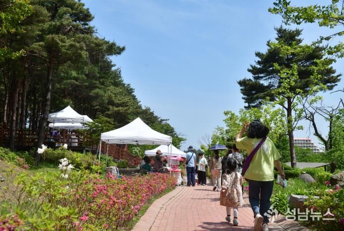 속초시립박물관, 2026년 노리숲길 숲속마켓 셀러 모집