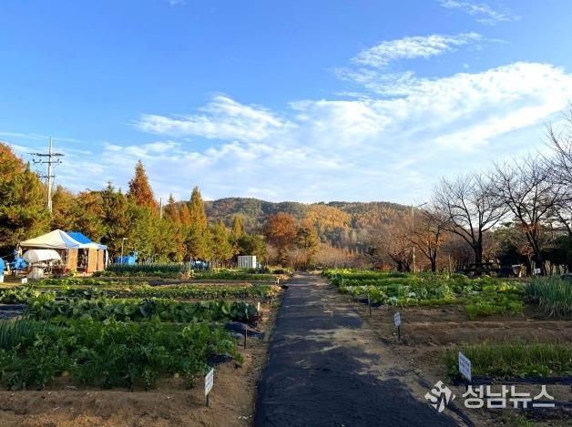 안성시, 2026년 도시농업공동체 공공텃밭 분양자 모집