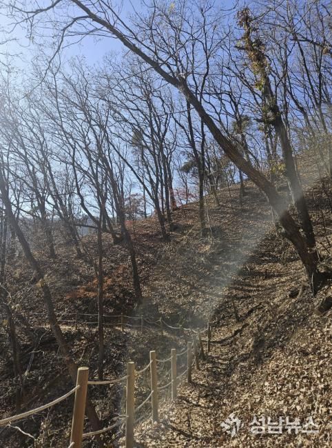 용인특례시가 추진한 광교산둘레길 2차사업 대상지 모습