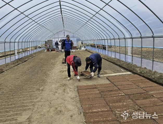 못자리 모판 늘어놓기