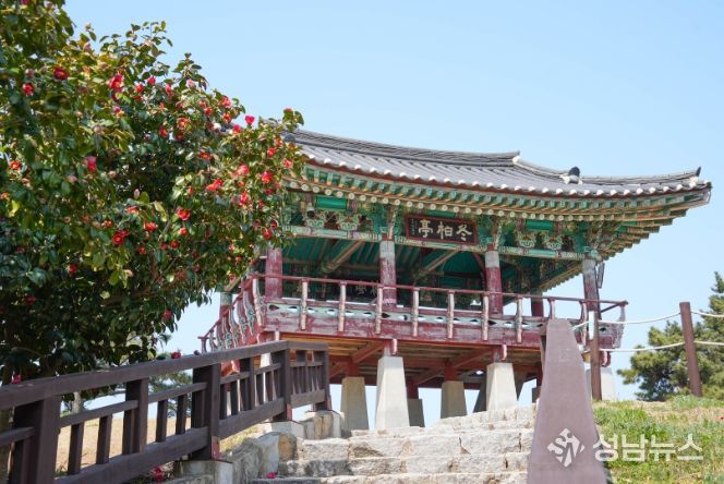 서천군, 마량리 동백나무숲 활용사업