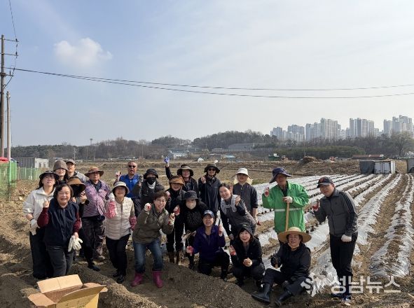 오산시 대원2동 통장협의회, ‘사랑의 감자심기’로 이웃사랑 실천
