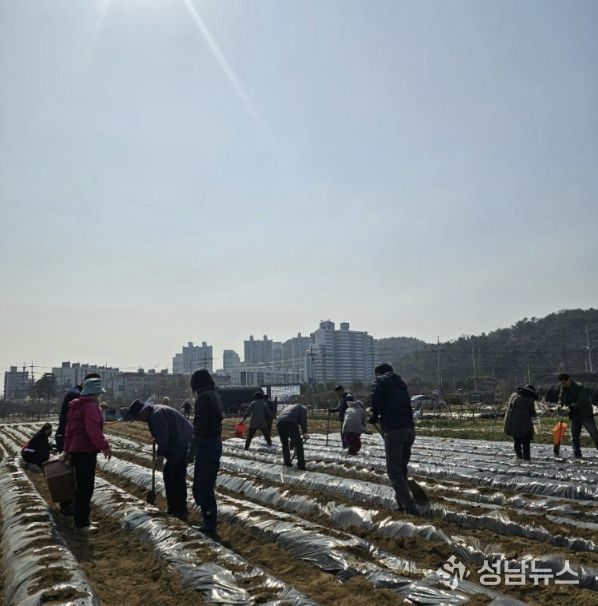 시흥시 신현동 통장협의회, '이웃돕기 감자 심기' 행사 진행