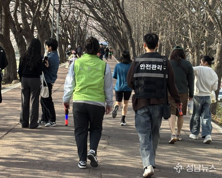 안양천 벚꽃시즌 시민 안전 최우선…금천구, 총력 대응