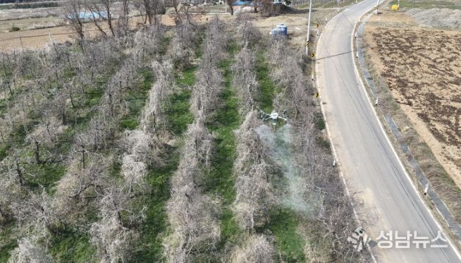 과수화상병 드론방제 사진