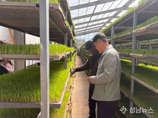“발아율 검사, 종자소독 등 벼 안전 육묘 실천
