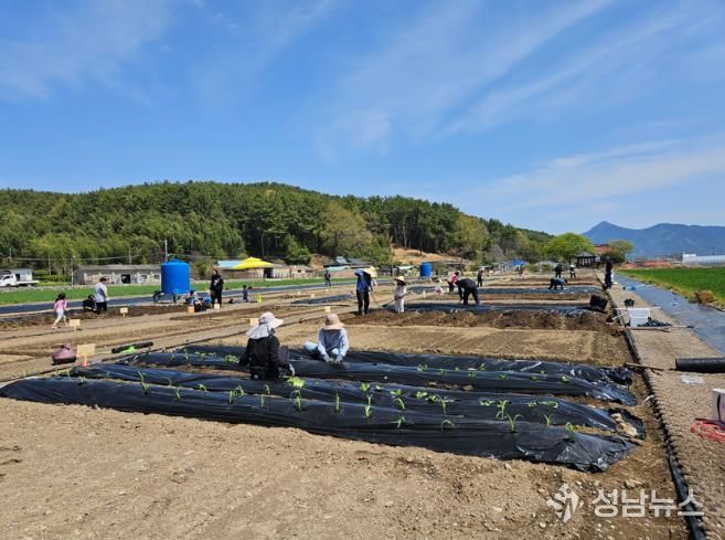 고성군, 주말농장 개장! “농업 체험하며 힐링”