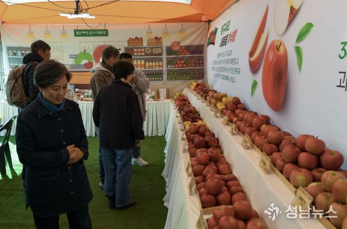 2025 청춘양구 펀치볼시래기사과축제