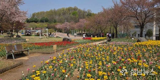 의정부 직동근린공원, 튤립 활짝…쉼과 여유 더한 힐링 공간 조성
